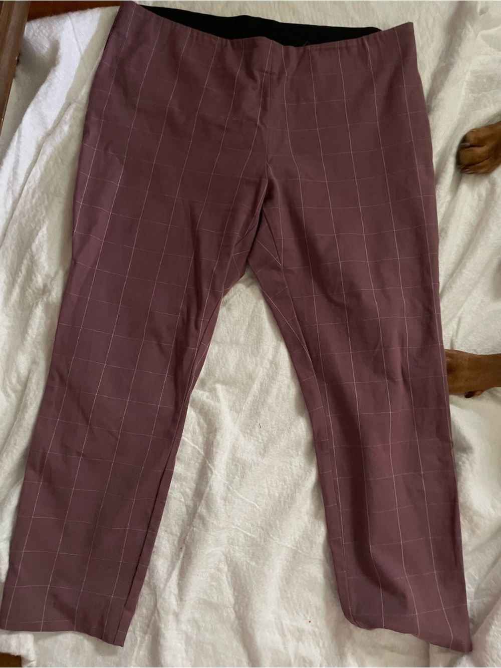 a new day Mauve Windowpane High-Rise Trousers - Picture 2 of 4
